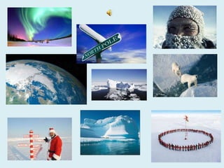 Weather and Countries | PPTX