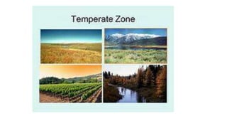 Weather