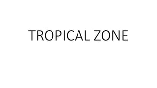 TROPICAL ZONE
 