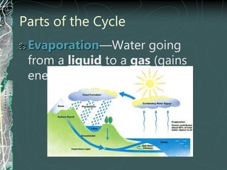 Parts of the Cycle
Evaporation—Water going
from a liquid to a gas (gains
energy from the sun)
 
