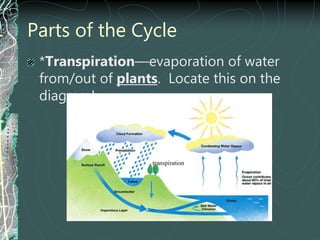 Parts of the Cycle
*Transpiration—evaporation of water
from/out of plants. Locate this on the
diagram!
transpiration
 