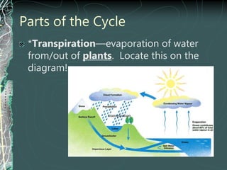 Parts of the Cycle
*Transpiration—evaporation of water
from/out of plants. Locate this on the
diagram!
transpiration
 
