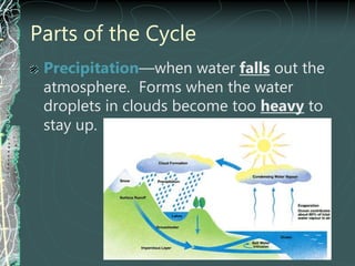 Parts of the Cycle
Precipitation—when water falls out the
atmosphere. Forms when the water
droplets in clouds become too heavy to
stay up.
 