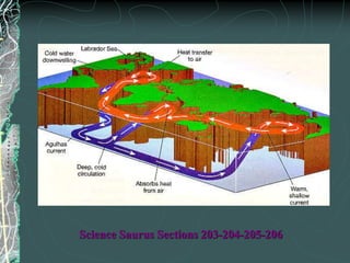 Science Saurus Sections 203-204-205-206
 