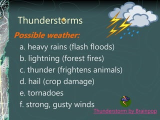 Possible weather:
a. heavy rains (flash floods)
b. lightning (forest fires)
c. thunder (frightens animals)
d. hail (crop damage)
e. tornadoes
f. strong, gusty winds
Thunderstorm by Brainpop
Thunderstorms
 
