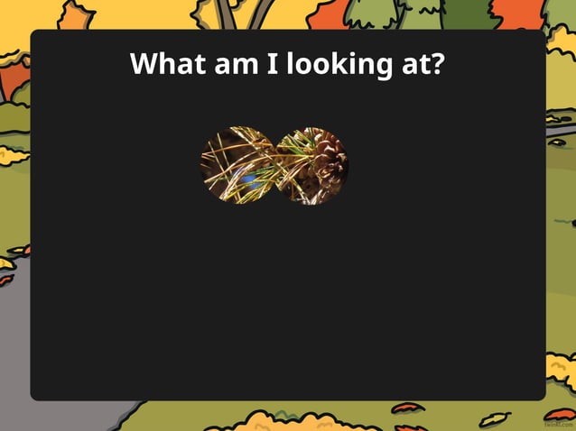 Weather Spring, Summer, Autumn, Winter.pptx