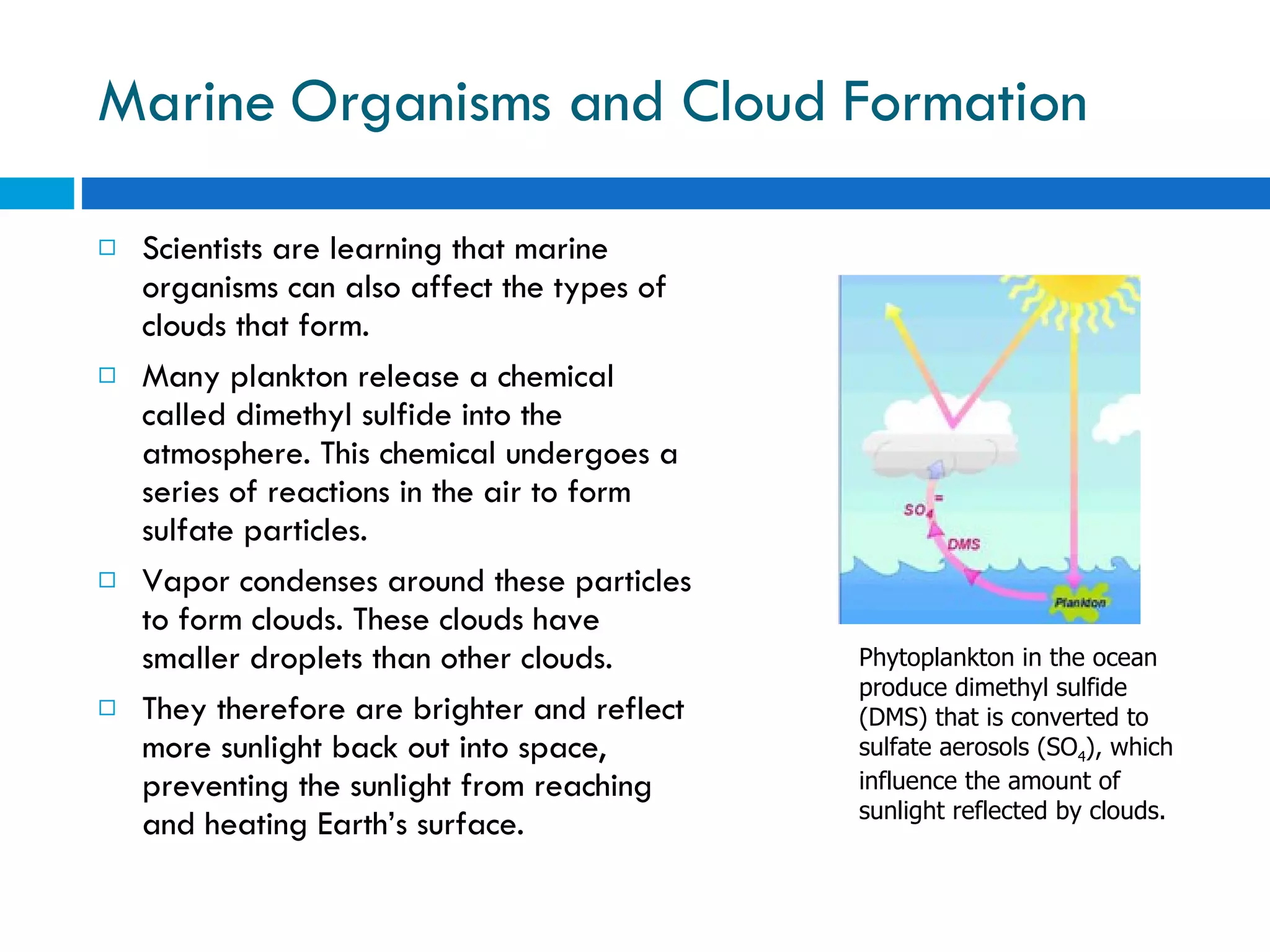 Marine Organisms and Cloud Formation Scientists are learning that marine organisms can also affect the types of clouds that form.  Many plankton release a chemical called dimethyl sulfide into the atmosphere. This chemical undergoes a series of reactions in the air to form sulfate particles.  Vapor condenses around these particles to form clouds. These clouds have smaller droplets than other clouds.  They therefore are brighter and reflect more sunlight back out into space, preventing the sunlight from reaching and heating Earth’s surface. Phytoplankton in the ocean produce dimethyl sulfide (DMS) that is converted to sulfate aerosols (SO 4 ), which influence the amount of sunlight reflected by clouds. 
