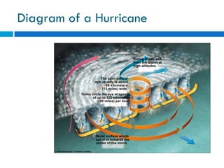 Diagram of a Hurricane Rising winds exit from the storm at high altitudes. The calm central eye usually is about 24 kilometers (15 miles) wide. Moist surface winds spiral in towards the center of the storm Gales circle the eye at speeds of up to 320 kilometers (200 miles) per hour. 