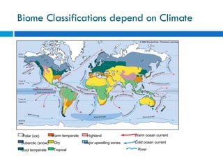Biome Classifications depend on Climate Polar (ice) Subarctic (snow) Cool temperate Warm temperate Dry Tropical Highland Major upwelling zones Warm ocean current Cold ocean current River 
