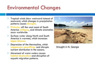 Environmental Changes  Tropical winds blow westward instead of eastward, which changes in precipitation patterns causes  drought . Fisheries  off the west coast of South America  collapse , and climate anomalies occur worldwide Surface water along North and South America is warmed, which increases  algae blooms. Depression of the thermocline, which  suppresses upwellings  and disrupts nutrient distribution in the oceans. Movement of warm waters causes  habitat destruction  and disruption of aquatic migration patterns. Drought in N. Georgia 
