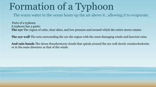 Formation of a Typhoon
The warm water in the ocean heats up the air above it , allowing it to evaporate.
Parts of a typhoon
A typhoon has 3 parts:
The eye The region of calm, clear skies, and low pressure and around which the entire storm rotates
The eye wall The area surrounding the eye the region with the most damaging winds and heaviest rains
And rain bands The dense thunderstorm clouds that spirals around the eye wall slowly counterclockwise
or in the same directors as that of the winds
 