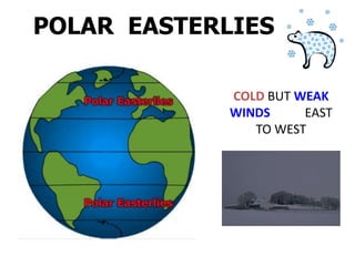 POLAR EASTERLIES

             COLD BUT WEAK
             WINDS     EAST
                TO WEST
 