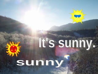 It's sunny. sunny 