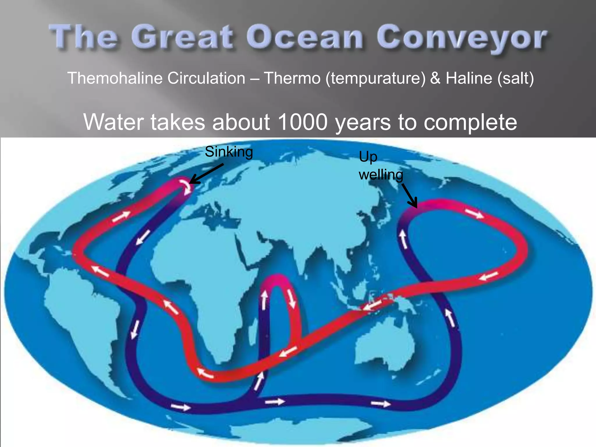 Themohaline Circulation – Thermo (tempurature) & Haline (salt)

  Water takes about 1000 years to complete
                  Sinking             Up
                                      welling
 