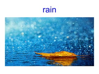 rain
 