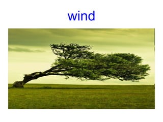 wind
 