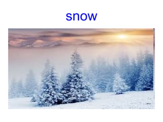 snow
 