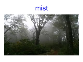 mist