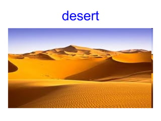desert
 