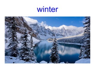 winter
 
