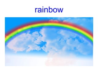 rainbow
 