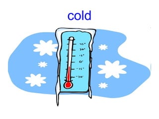 cold
 