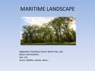 MARITIME LANDSCAPE




Vegetation: Decidious forest. Beech tree, oak.
Moors and heathers.
Soil: rich
Fauna. Rabbits, wolves, deers…
 