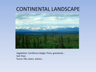 CONTINENTAL LANDSCAPE




Vegetation: Coniferous (taiga). Pines, grasslands…
Soil: Poor.
Fauna: Elks, bears, wolves…
 