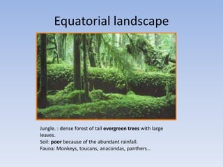 Equatorial landscape




Jungle. : dense forest of tall evergreen trees with large
leaves.
Soil: poor because of the abundant rainfall.
Fauna: Monkeys, toucans, anacondas, panthers…
 