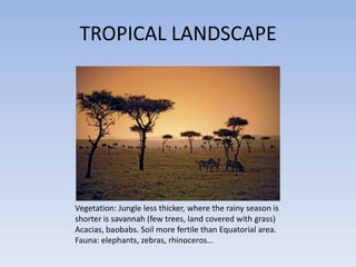 TROPICAL LANDSCAPE




Vegetation: Jungle less thicker, where the rainy season is
shorter is savannah (few trees, land covered with grass)
Acacias, baobabs. Soil more fertile than Equatorial area.
Fauna: elephants, zebras, rhinoceros…
 