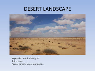 DESERT LANDSCAPE




Vegetation: cacti, short grass.
Soil is poor.
Fauna: camels, foxes, scorpions…
 