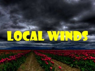 Local winds
 