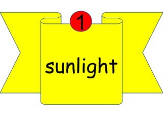1 
sunlight 
 