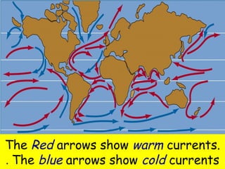 The Red arrows show warm currents. 
The blue arrows . show cold currents 
 
