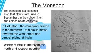 The Monsoon
40
%
In Pakistan , the monsoon arrives
in the summer , rain cloud blows
towards the west coast and
central plains of India
The monsoon is a seasonal
wind that blows from June to
September , in the subcontinent
and across South-east Asia.
Winter rainfall is mainly in the
north and west of country.
 
