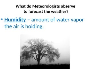• Humidity – amount of water vapor
the air is holding.
What do Meteorologists observe
to forecast the weather?
 