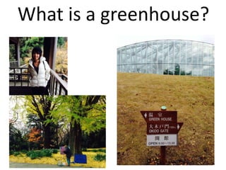 What is a greenhouse?
103
 