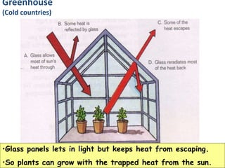 •Glass panels lets in light but keeps heat from escaping.
•So plants can grow with the trapped heat from the sun.
Greenhouse
(Cold countries)
 