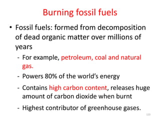Burning fossil fuels
• Fossil fuels: formed from decomposition
of dead organic matter over millions of
years
- For example, petroleum, coal and natural
gas.
- Powers 80% of the world’s energy
- Contains high carbon content, releases huge
amount of carbon dioxide when burnt
- Highest contributor of greenhouse gases.
123
 