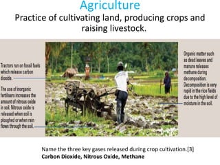 Agriculture
Practice of cultivating land, producing crops and
raising livestock.
Name the three key gases released during crop cultivation.[3]
Carbon Dioxide, Nitrous Oxide, Methane
 