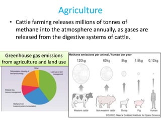 Agriculture
• Cattle farming releases millions of tonnes of
methane into the atmosphere annually, as gases are
released from the digestive systems of cattle.
127
Greenhouse gas emissions
from agriculture and land use
 