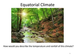 Equatorial Climate
76
How would you describe the temperature and rainfall of this climate?
 