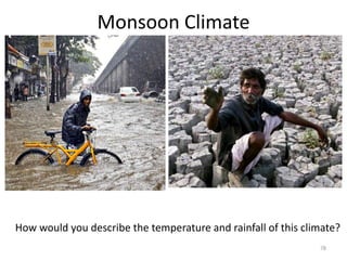 Monsoon Climate
78
How would you describe the temperature and rainfall of this climate?
 