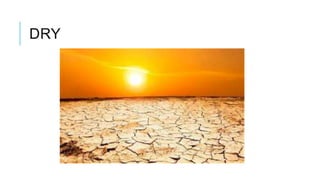DRY
 