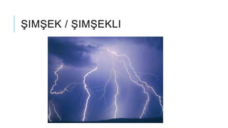 ŞIMŞEK / ŞIMŞEKLI
 