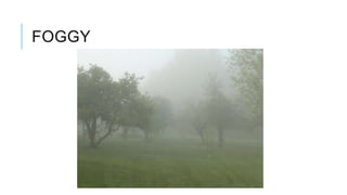 FOGGY
 