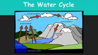 The Water Cycle
 
