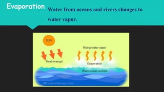 Evaporation Water from oceans and rivers changes to
water vapor.
 