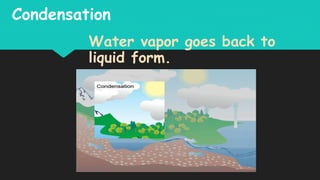 Condensation
Water vapor goes back to
liquid form.
 