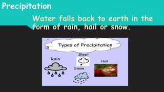 Precipitation
Water falls back to earth in the
form of rain, hail or snow.
 